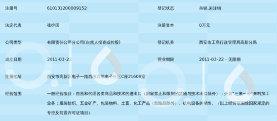 陕西瑞阳进出口高新分公司 游戏产品运营策略与业务发展